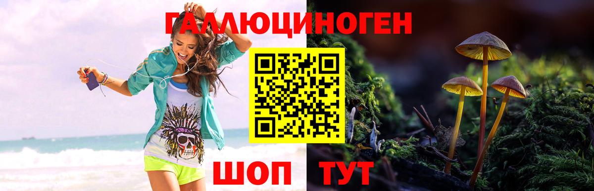 Галлюциногенные грибы ЛСД  наркошоп  Саратов  Вход с VPN 